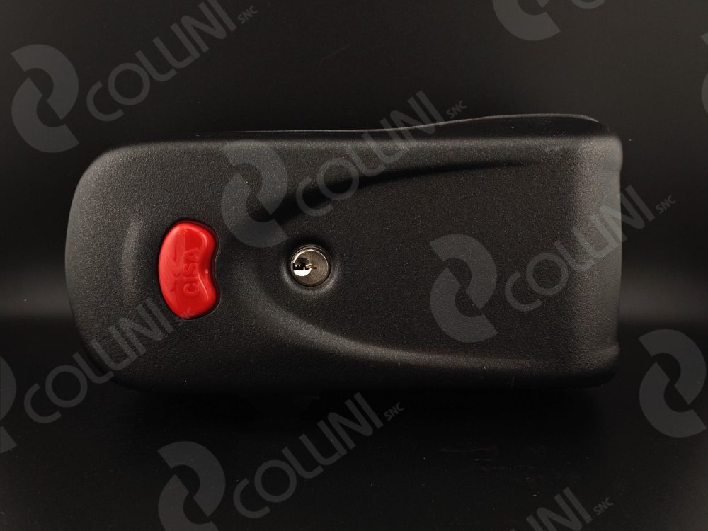 CISA Elettroserratura Per Cancelli E Portoni(Pulsante+Chiave)